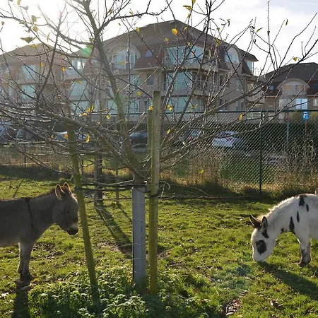 Garden Block L ミデルケルケ